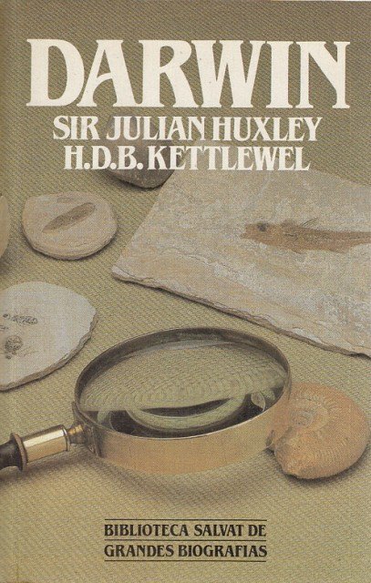 DARWIN | Immagine principale