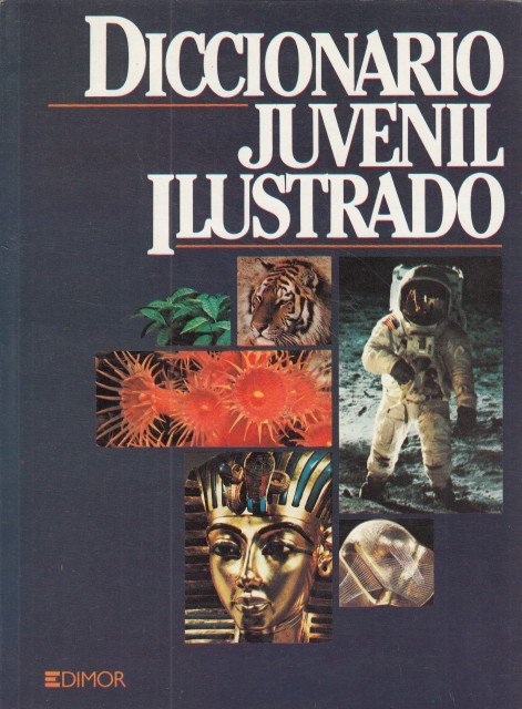 DICCIONARIO JUVENIL ILUSTRADO.