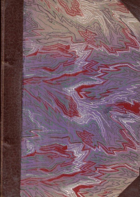 DOS AÑOS DE VACACIONES; PEDRO EL SIMPLE