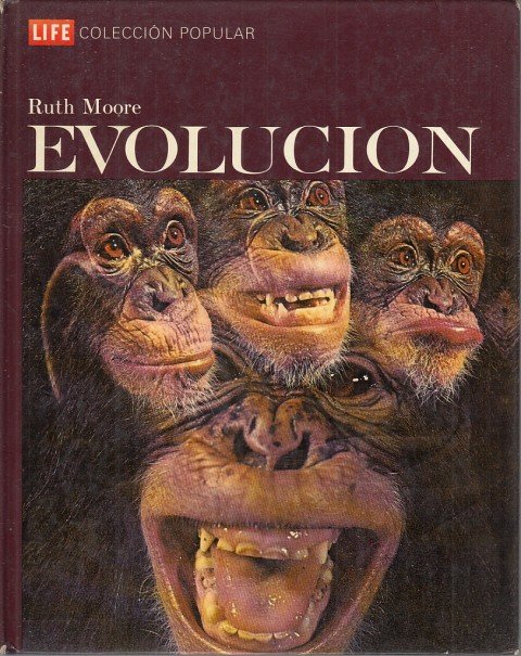 EVOLUCIÓN | Immagine principale