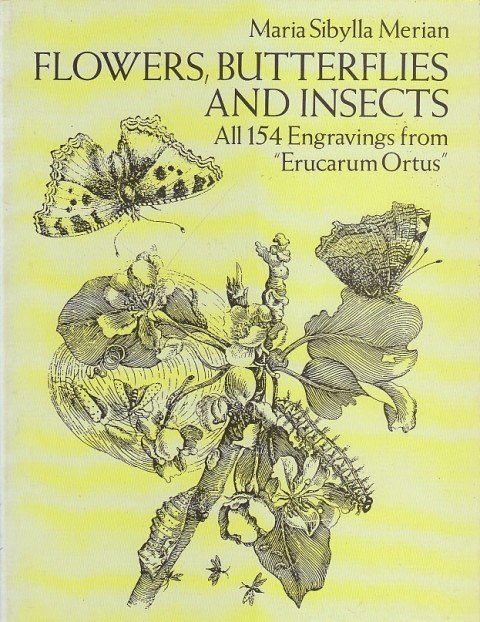 FLOWERS, BUTTERFLIES AND INSECTS