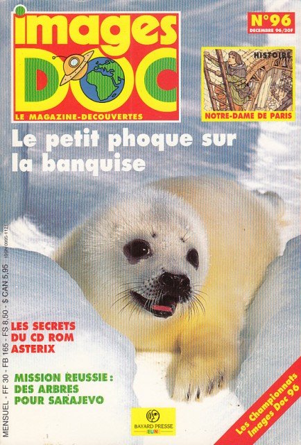 IMAGES DOC. NUM. 96. LE PETIT PHOQUE SUR LA BANQUISE