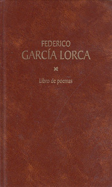 LIBRO DE POEMAS
