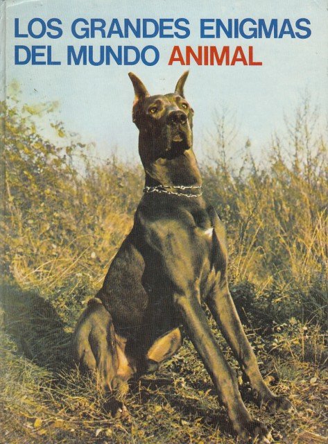 LOS GRANDES ENIGMAS DEL MUNDO ANIMAL I. LOS ANIMALES DOMÉSTICOS … | Immagine principale