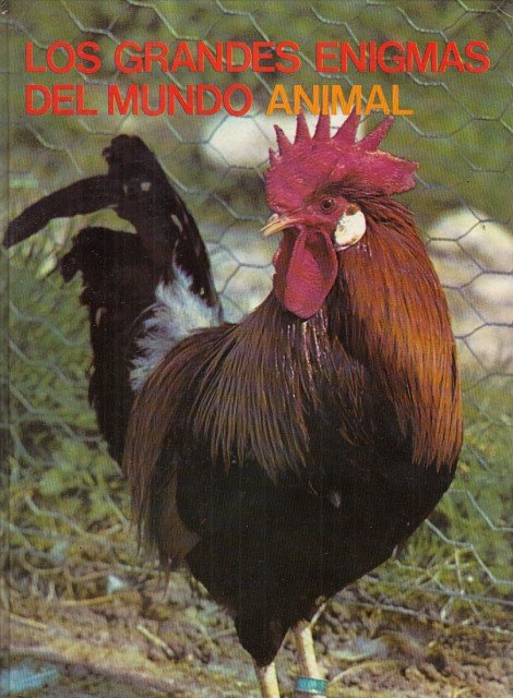 LOS GRANDES ENIGMAS DEL MUNDO ANIMAL II. LOS ANIMALES DOMÉSTICOS | Immagine principale