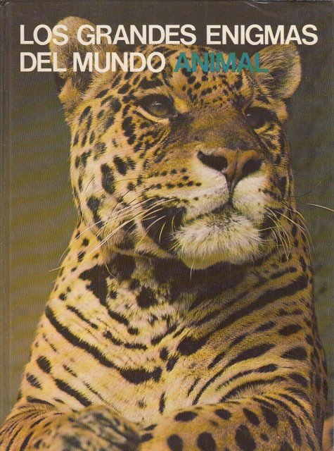 LOS GRANDES ENIGMAS DEL MUNDO ANIMAL XVI. LOS MAMÍFEROS SALVALES … | Immagine principale