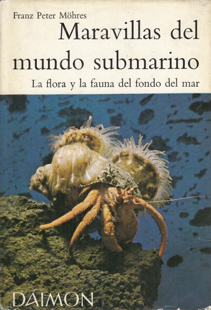 MARAVILLAS DEL MUNDO SUBMARINO. LA FAUNA DEL MEDITERRÁNEO. LA FLORA … | Immagine principale