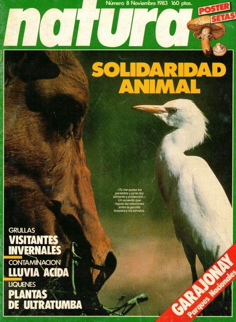 NATURA. Nº 8. NOVIEMBRE 1983. POSTER CENTRAL, LOS HONGOS UN …