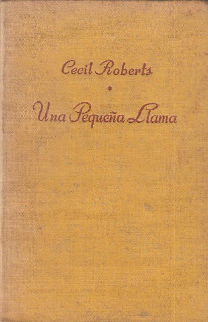 UNA PEQUEÑA LLAMA