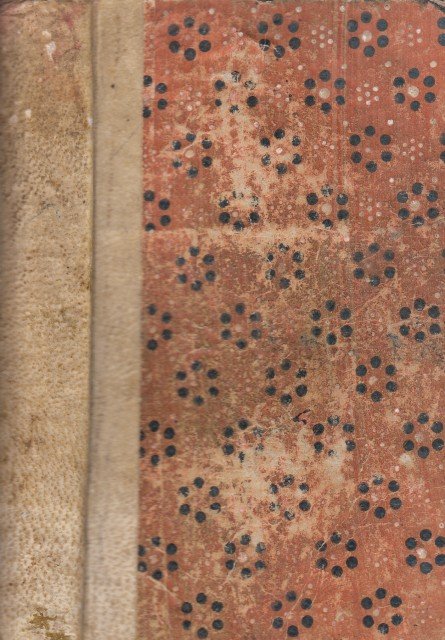 VITA POLITICA E MILITARE DI NAPOLEONE