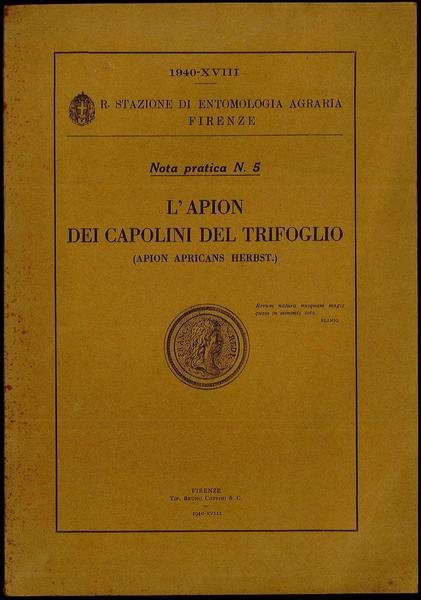 L'Apion dei capolini del trifoglio