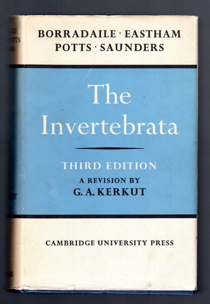The Invertebrata