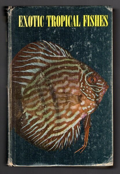 Exotic tropical fishes