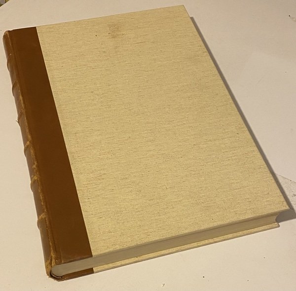 Disegni di Michelangelo 103 disegni in facsimile