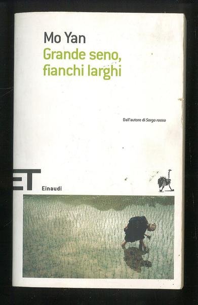Grande seno, fianchi larghi