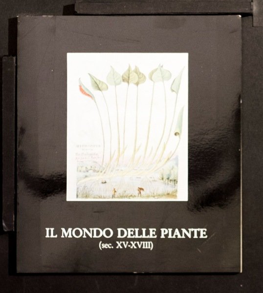 Il mondo delle piante (sec XV-XVIII)