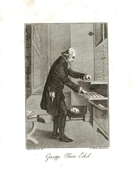 Giuseppe Ilario Eckel