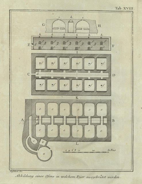 Abbildung eines ofens in welchem Eyer ausgebrutet werden