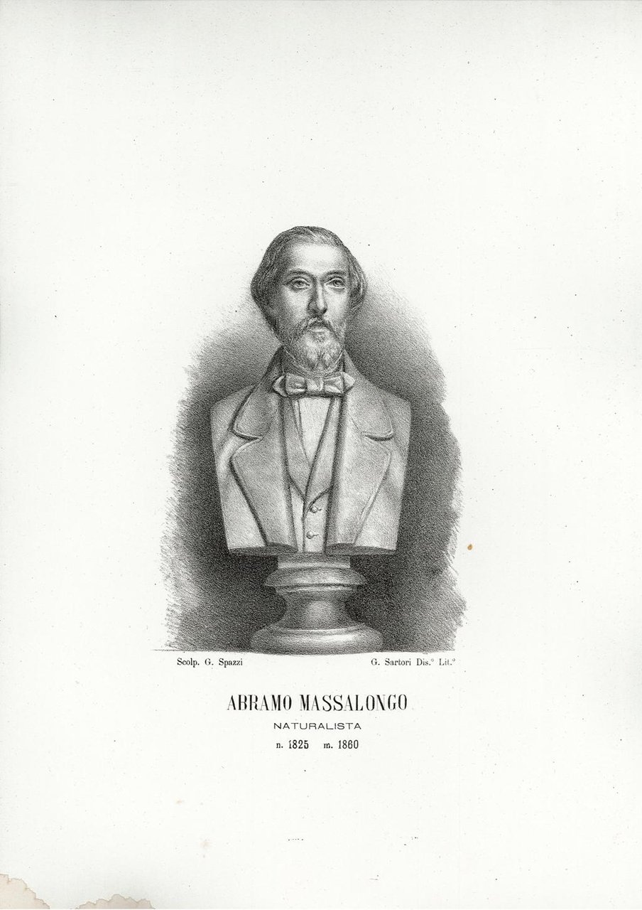 Abramo Massalongo Naturalista n. 1825 m. 1860
