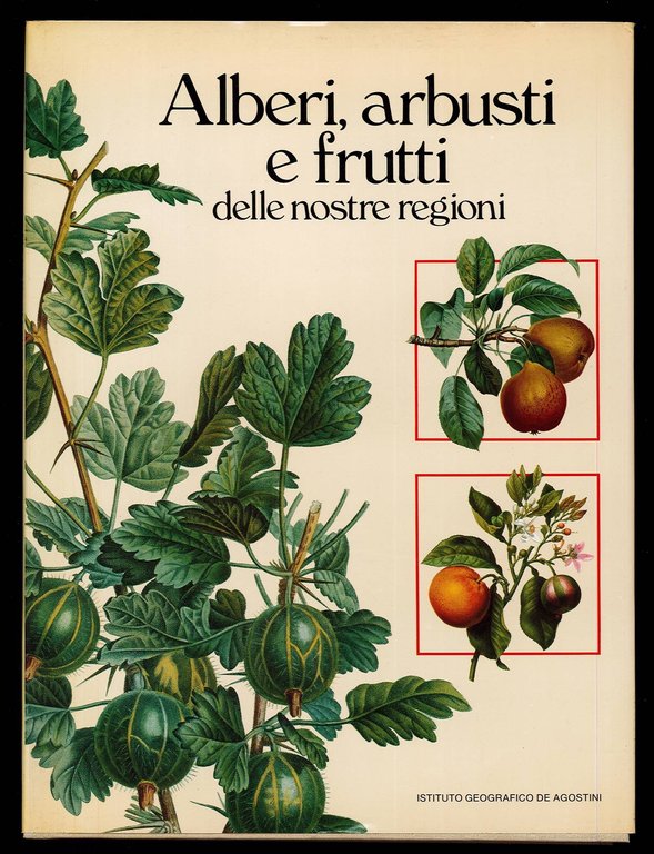 Alberi, arbusti e frutti delle nostre regioni