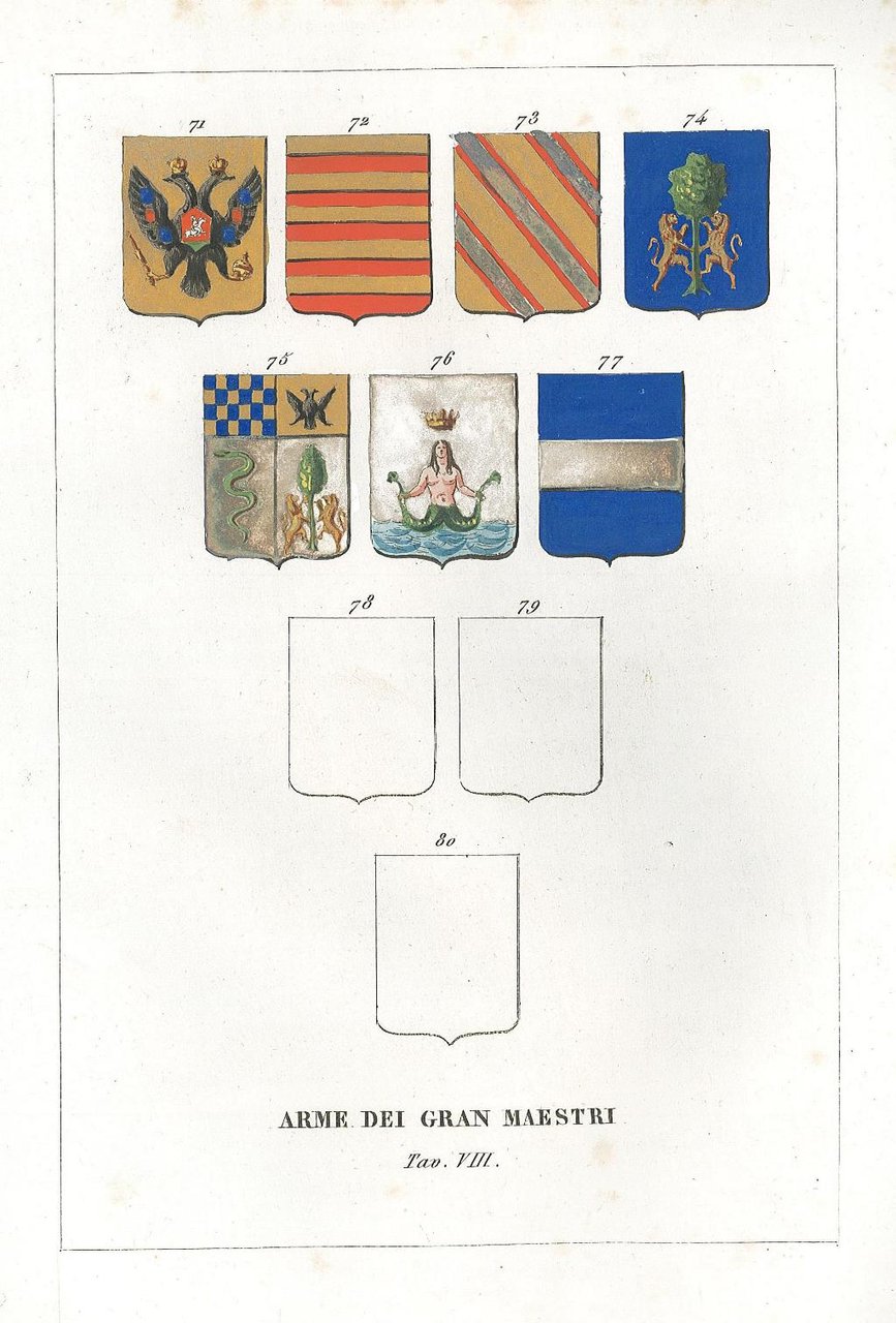 Arme dei gran maestri. Tav. VIII