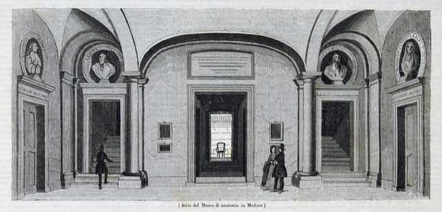Atrio del museo di anatomia in Modena