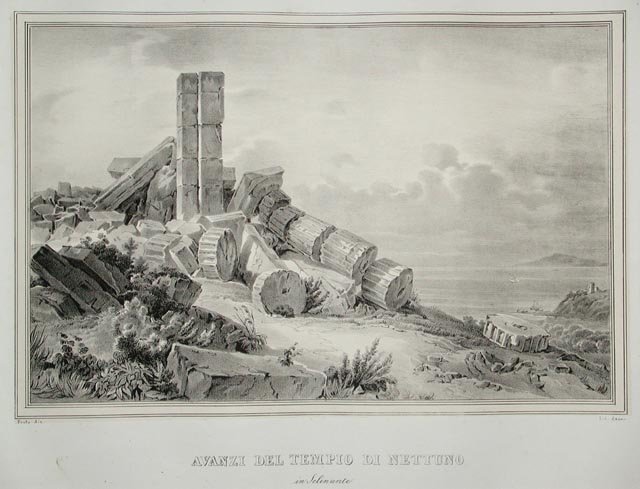 Avanzi del Tempio di Nettuno / in Selinunte | Immagine principale