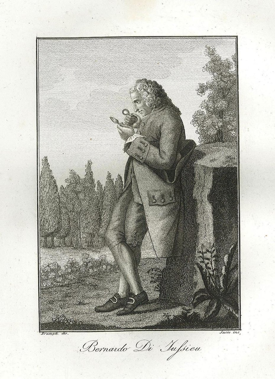 Bernardo Di Iussieu