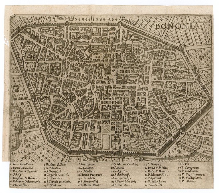 Bonomia | Immagine Gallery 2