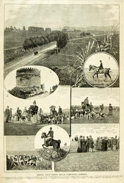 Caccia alla volpe nella campagna romana