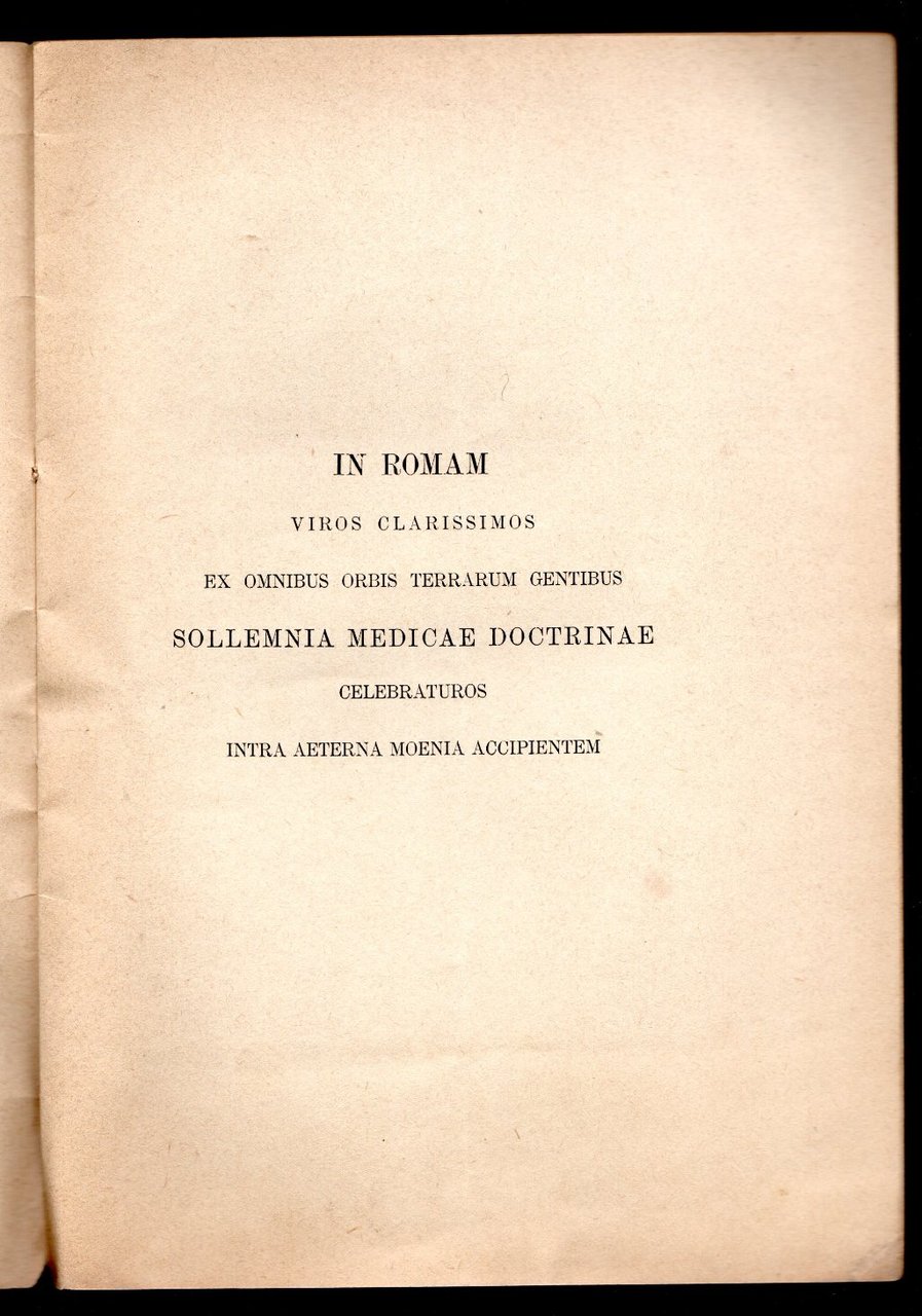 Carmen | Immagine principale