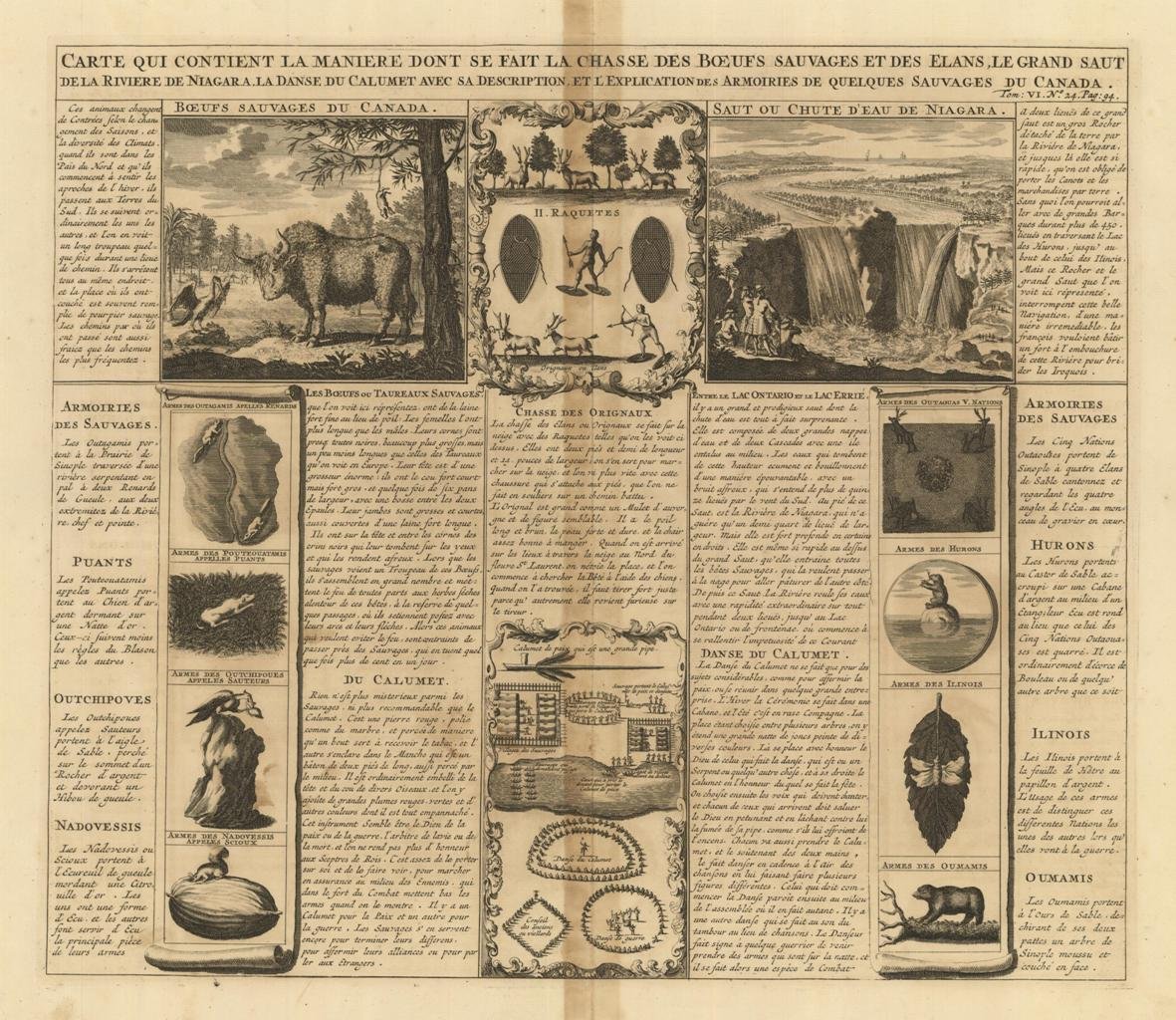 Carte qui contient la maniere dont se fait la chasse …