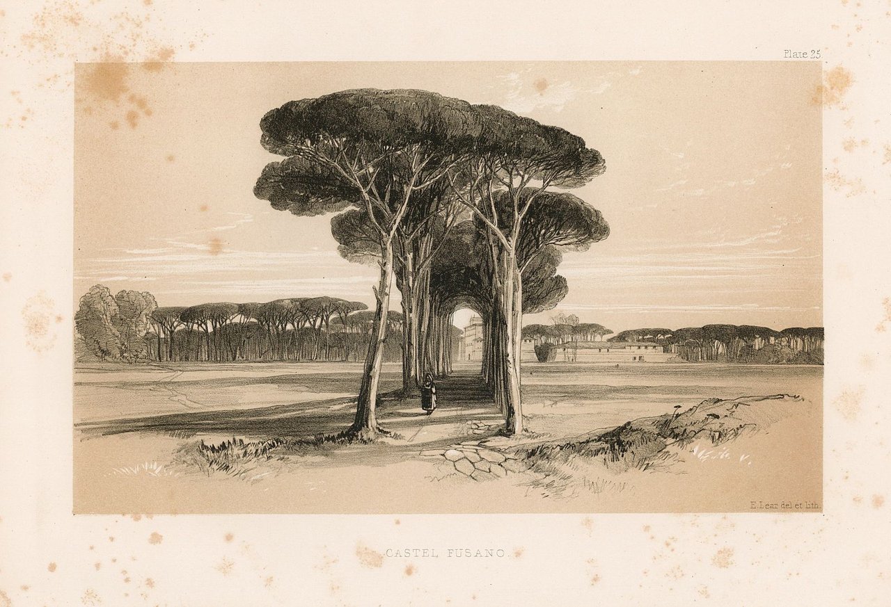 Castel Fusano | Immagine principale