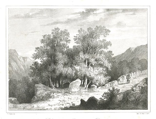 Chemin de Meyringen à Rosenlaui