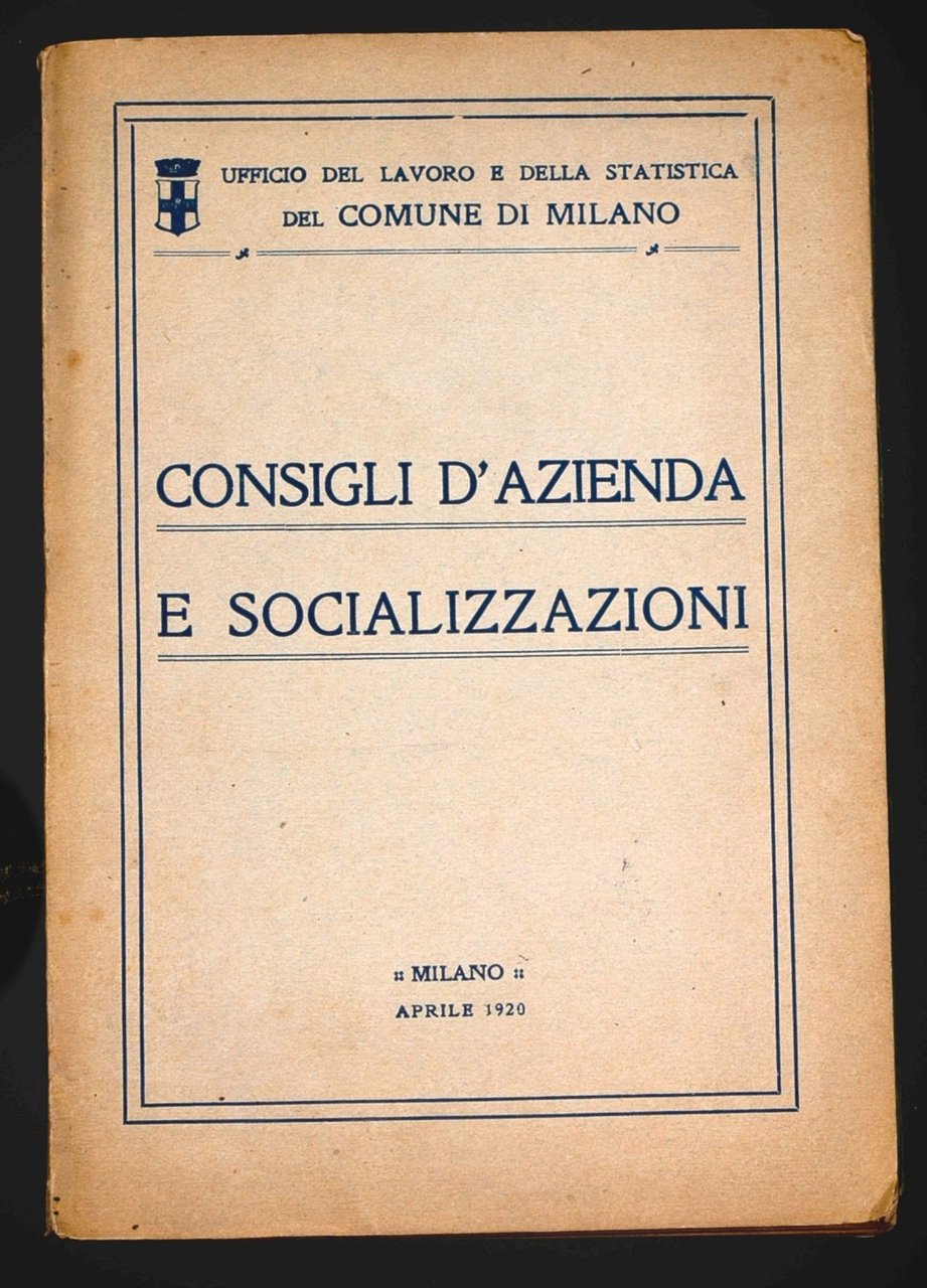 Consigli d'azienda e socializzazioni