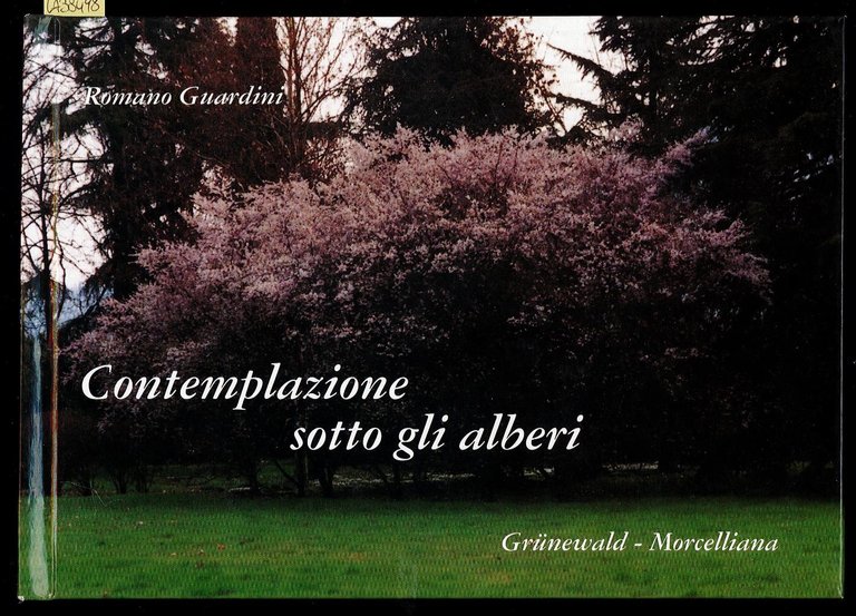 Contemplazione sotto gli alberi