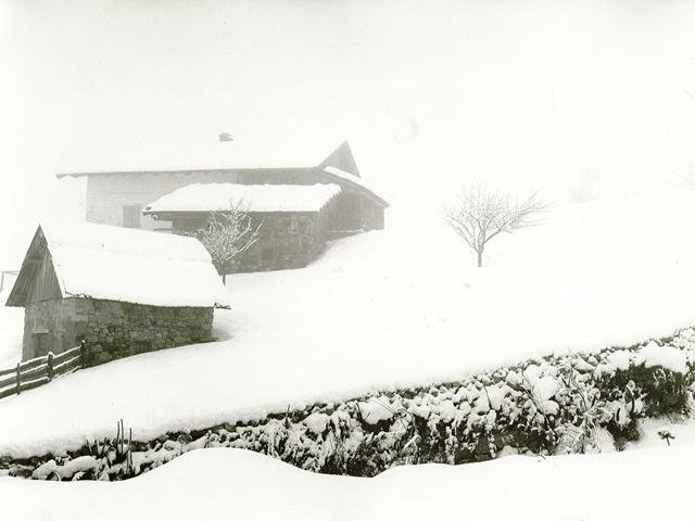 Dolomiti (senza titolo)