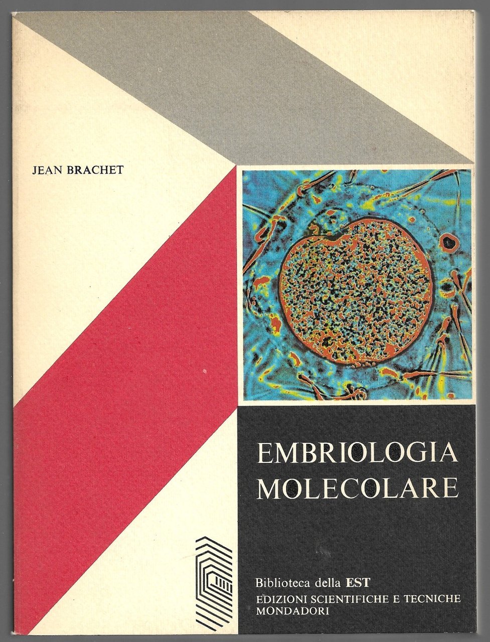 Embriologia molecolare