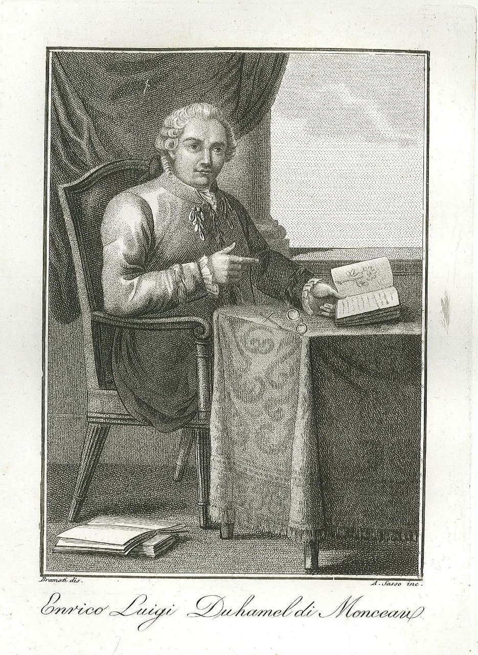 Enrico Luigi Duhamel di Monceau
