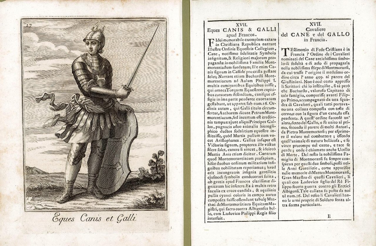 Eques Canis et Galli