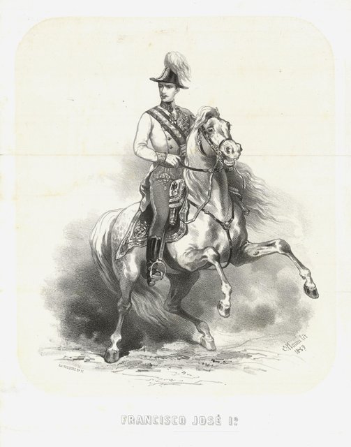 Francisco José I°