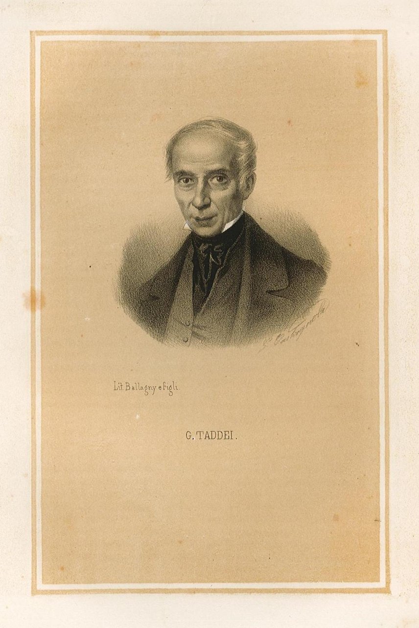 G. Taddei | Immagine principale