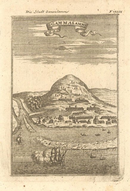 Gammalamme | Immagine principale