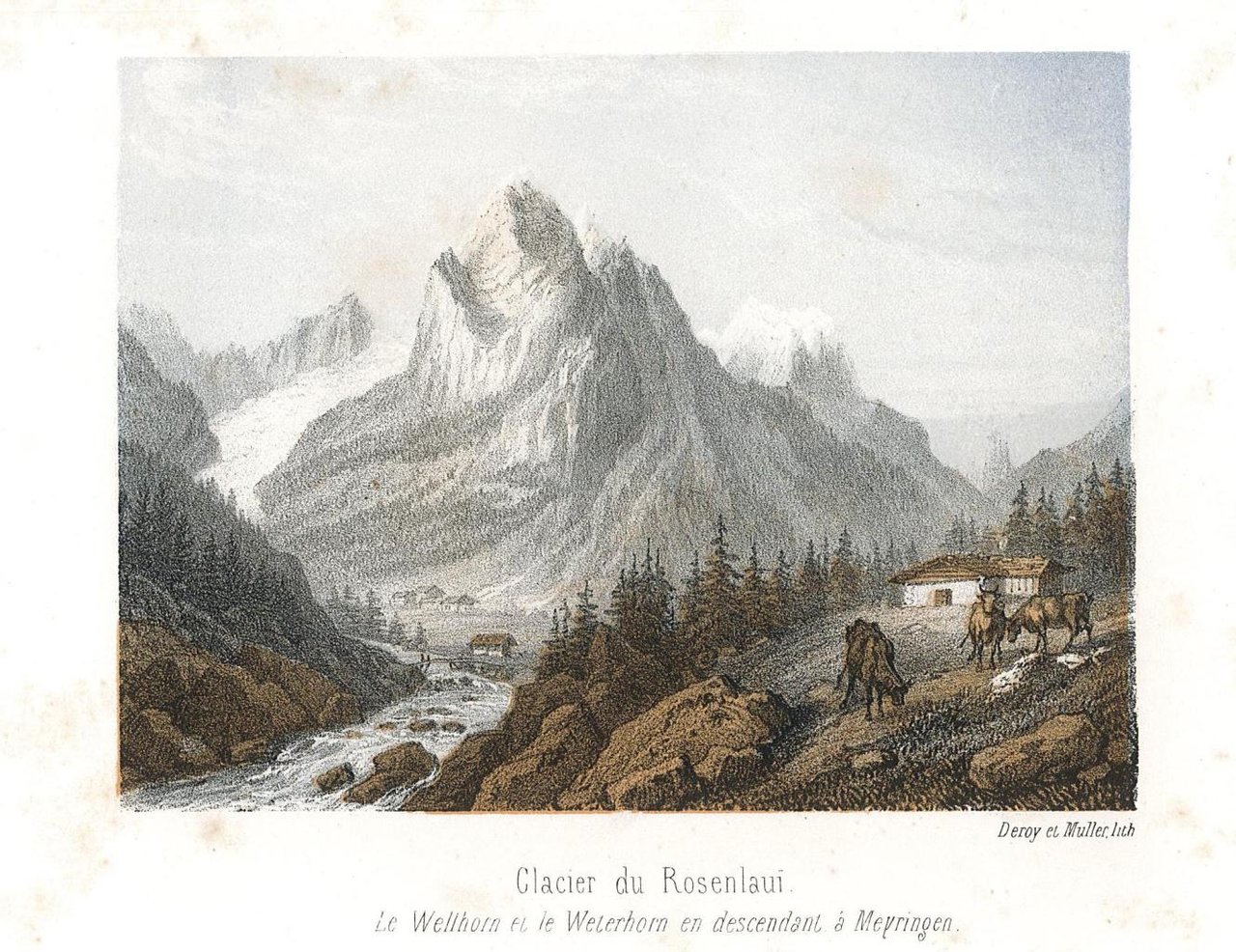 Glacier du Rosenlaui Le Welthorn et le Weterhorn en descendant …