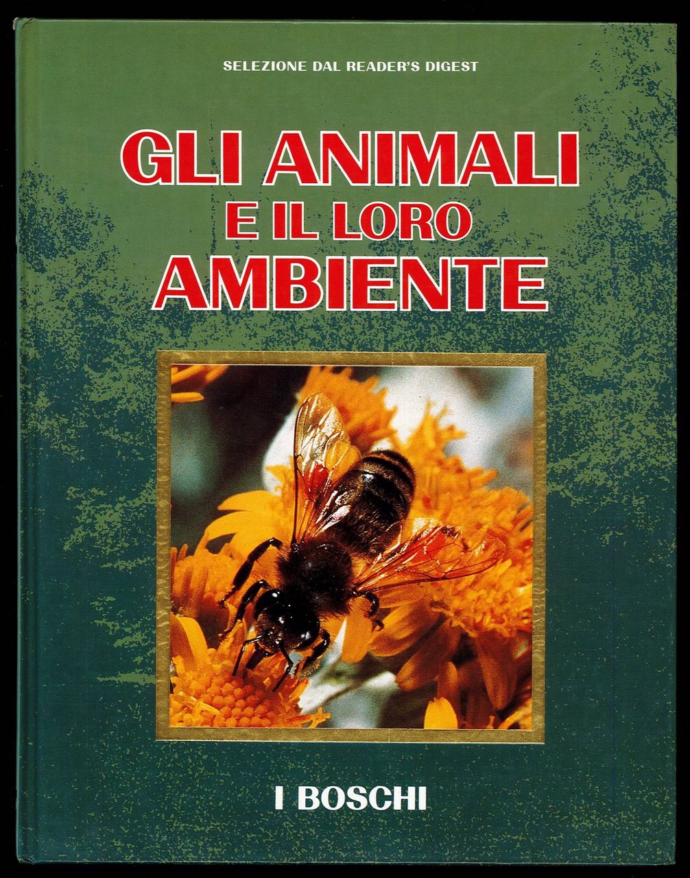 Gli animali e il loro ambiente - I boschi
