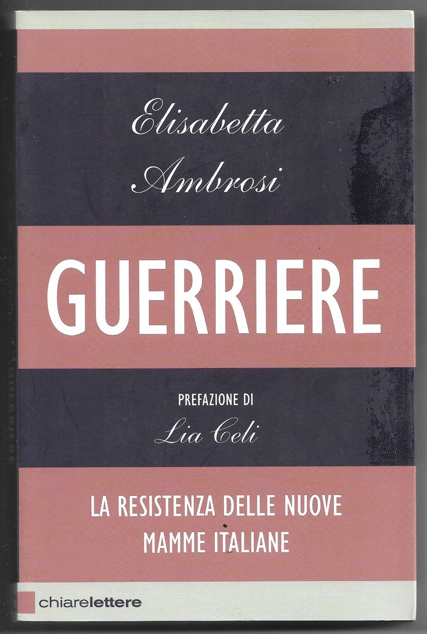 Guerriere - La resistenza delle nuove mamme italiane