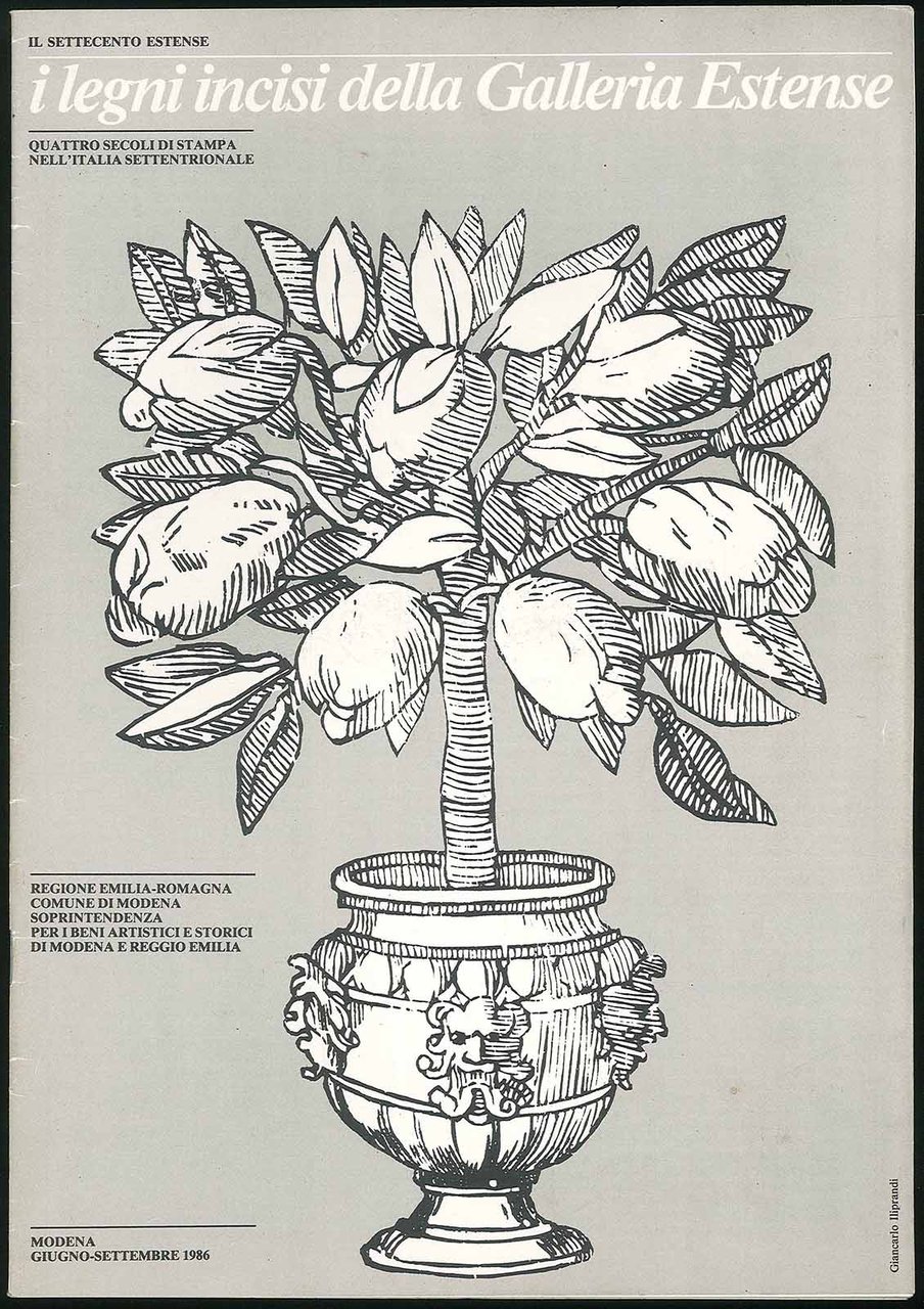 I legni incisi della galleria Estense