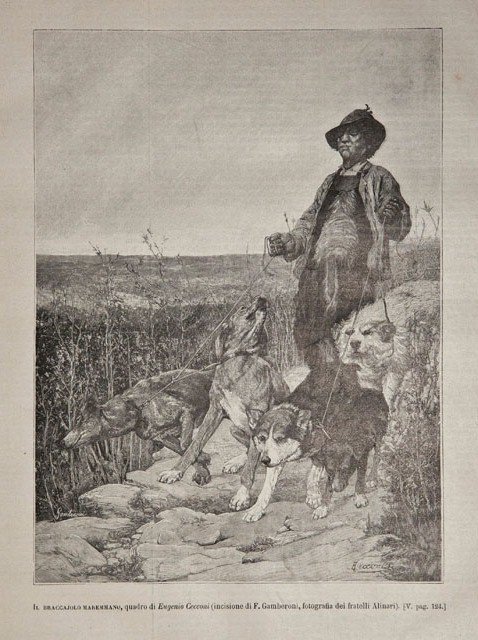 Il bracciajolo maremmano, quadro di Eugenio Cecconi