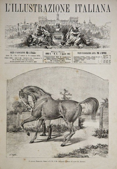 Il cavallo Damascus, donato a S. M. il Re