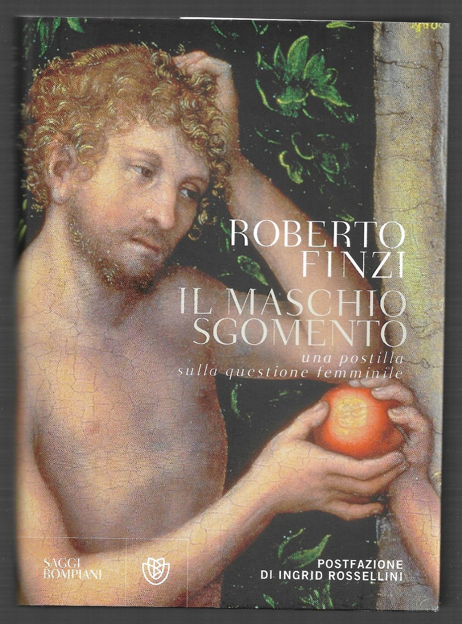 Il maschio sgomento una postilla sulla questione femminile